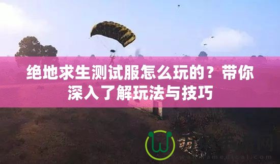 絕地求生測試服怎么玩的？帶你深入了解玩法與技巧