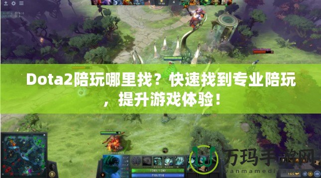 Dota2陪玩哪里找？快速找到專業(yè)陪玩，提升游戲體驗！