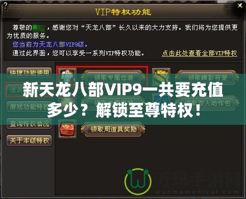 新天龍八部VIP9一共要充值多少？解鎖至尊特權！