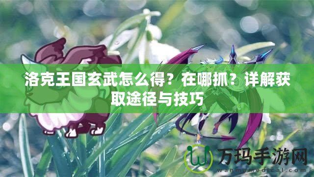 洛克王國(guó)玄武怎么得？在哪抓？詳解獲取途徑與技巧