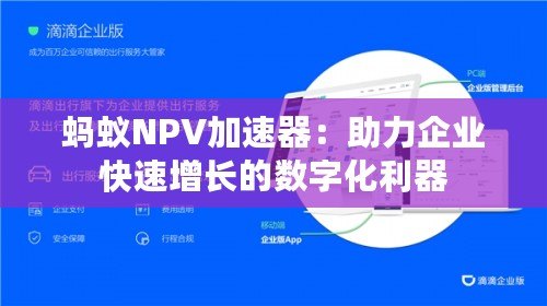 螞蟻NPV加速器：助力企業(yè)快速增長(zhǎng)的數(shù)字化利器