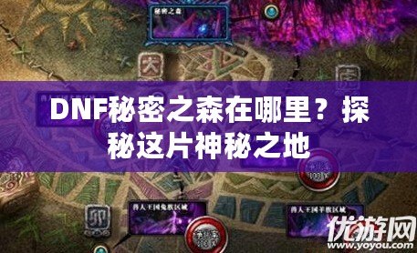 DNF秘密之森在哪里？探秘這片神秘之地