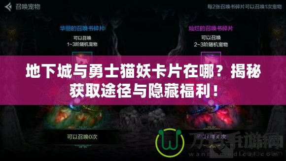 地下城與勇士貓妖卡片在哪？揭秘獲取途徑與隱藏福利！