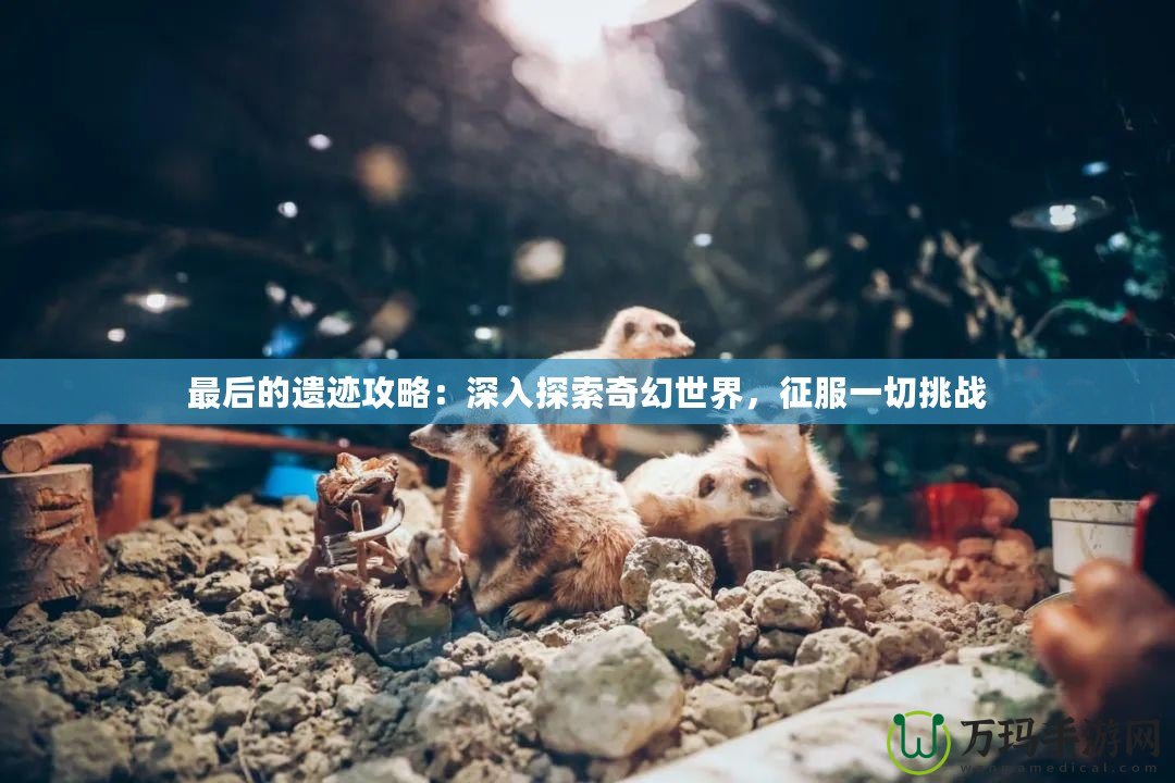 最后的遺跡攻略：深入探索奇幻世界，征服一切挑戰(zhàn)