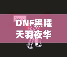 DNF黑曜天羽夜華套特效全揭秘：價格與價值解析