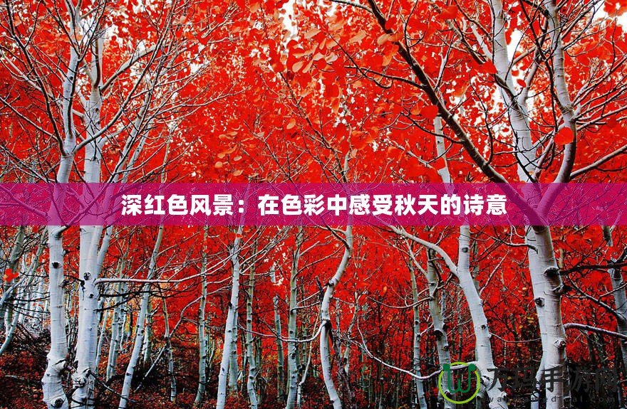 深紅色風(fēng)景：在色彩中感受秋天的詩(shī)意