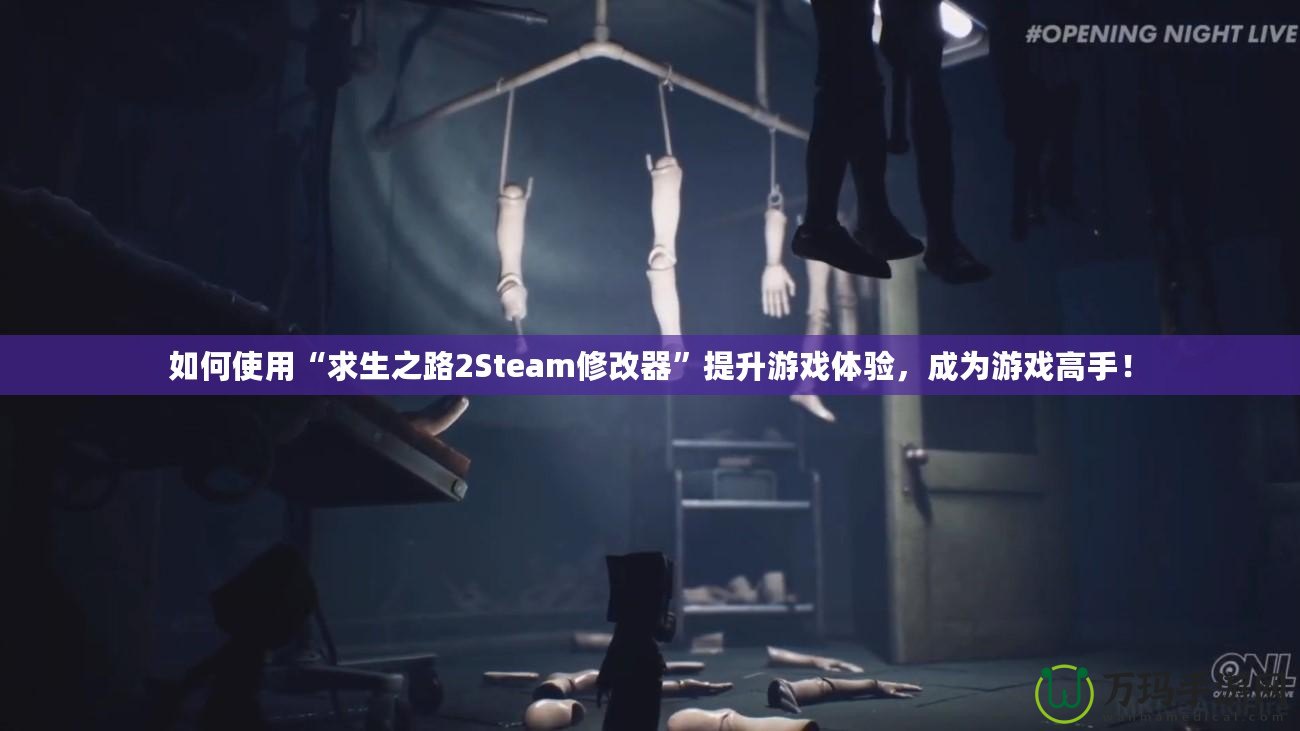 如何使用“求生之路2Steam修改器”提升游戲體驗(yàn)，成為游戲高手！