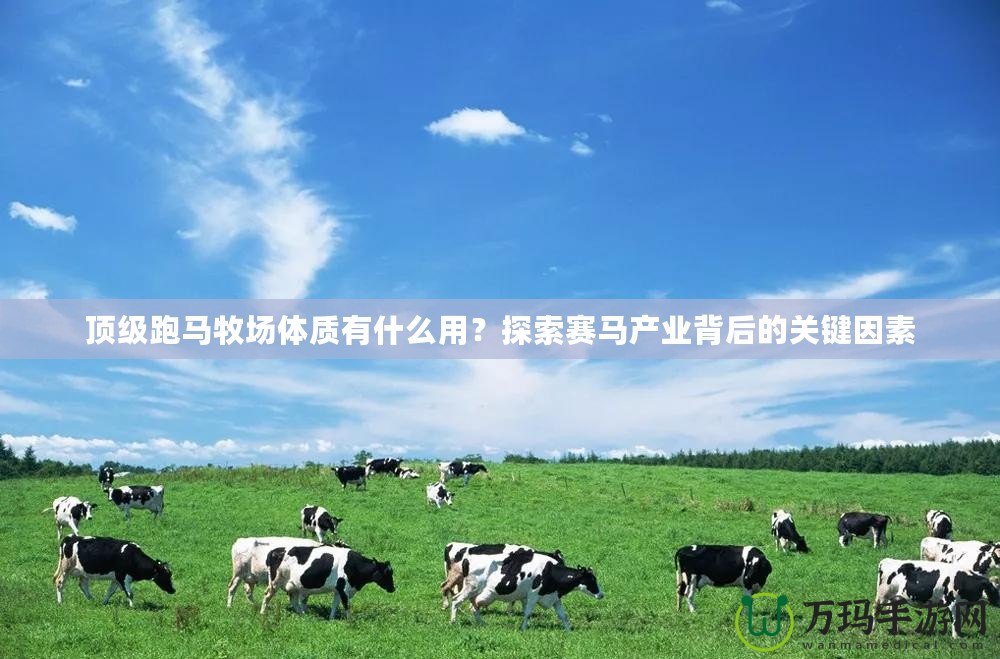 頂級跑馬牧場體質(zhì)有什么用？探索賽馬產(chǎn)業(yè)背后的關(guān)鍵因素