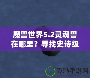 魔獸世界5.2靈魂獸在哪里？尋找史詩級寵物的終極指南