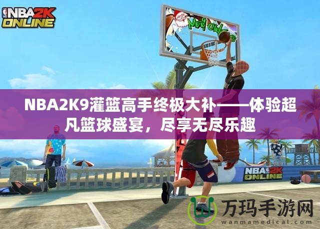 NBA2K9灌籃高手終極大補(bǔ)——體驗(yàn)超凡籃球盛宴，盡享無盡樂趣