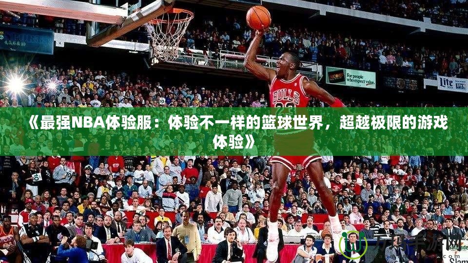 《最強(qiáng)NBA體驗(yàn)服：體驗(yàn)不一樣的籃球世界，超越極限的游戲體驗(yàn)》