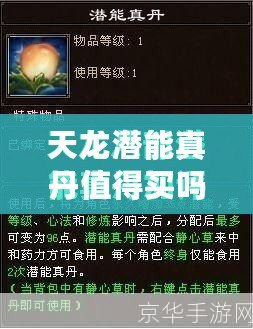 天龍潛能真丹值得買嗎？揭秘其真正效果與價(jià)值