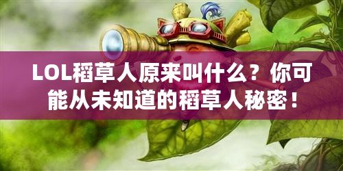 LOL稻草人原來叫什么？你可能從未知道的稻草人秘密！