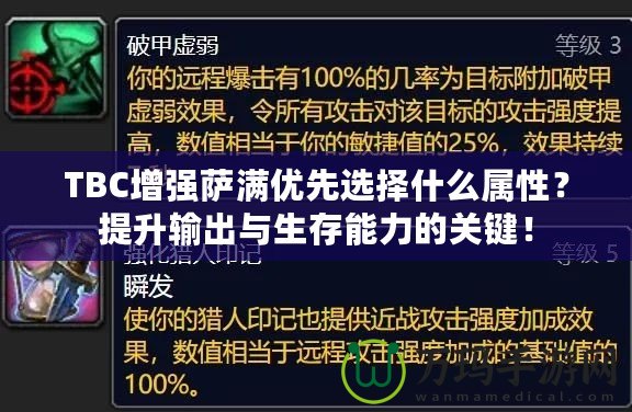 TBC增強薩滿優(yōu)先選擇什么屬性？提升輸出與生存能力的關(guān)鍵！