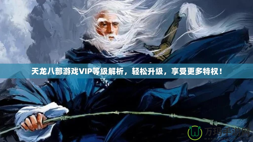 天龍八部游戲VIP等級解析，輕松升級，享受更多特權！