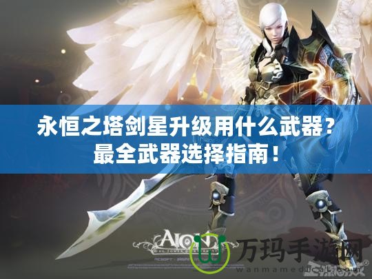 永恒之塔劍星升級用什么武器？最全武器選擇指南！