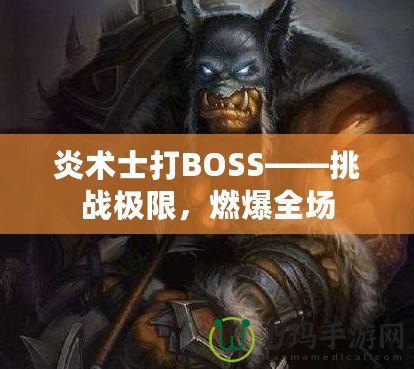 炎術(shù)士打BOSS——挑戰(zhàn)極限，燃爆全場(chǎng)