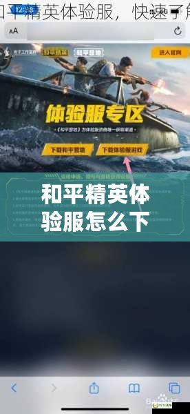 和平精英體驗服怎么下載視頻教程，輕松獲取最新游戲體驗！