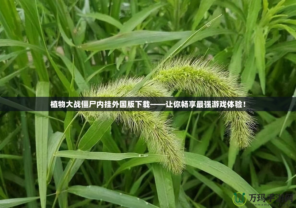 植物大戰(zhàn)僵尸內(nèi)掛外國(guó)版下載——讓你暢享最強(qiáng)游戲體驗(yàn)！