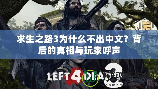 求生之路3為什么不出中文？背后的真相與玩家呼聲